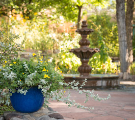 A view of an outdoor fountain at the inn garden