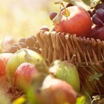 fruit basket