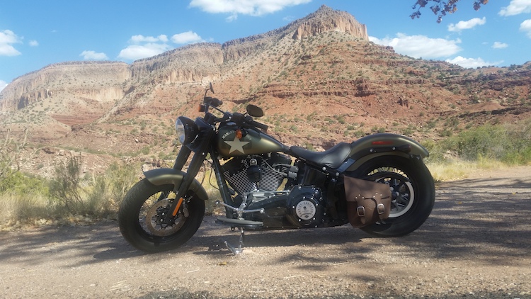 Views of Jemez Mountain Trail