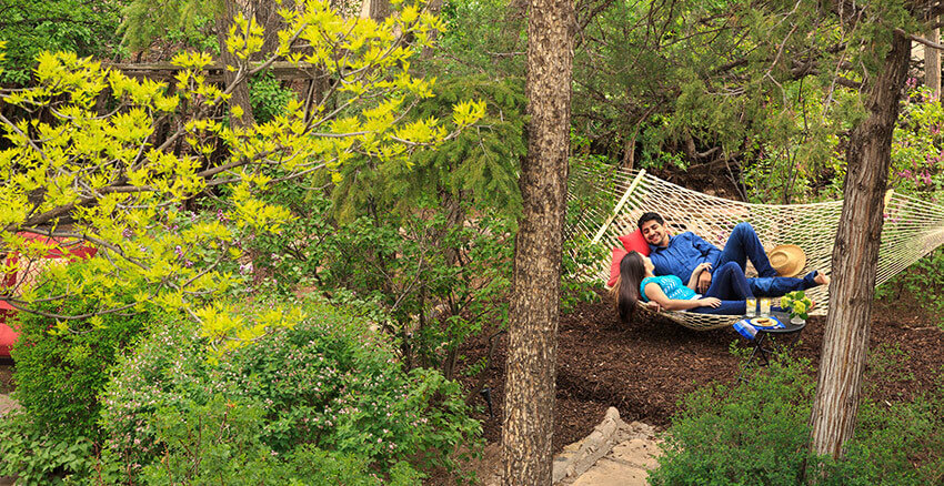 Couple on a hammock