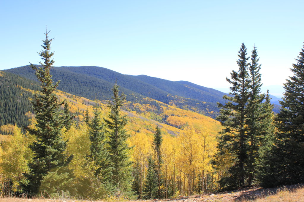 View from Aspen Vista Hiking Trail