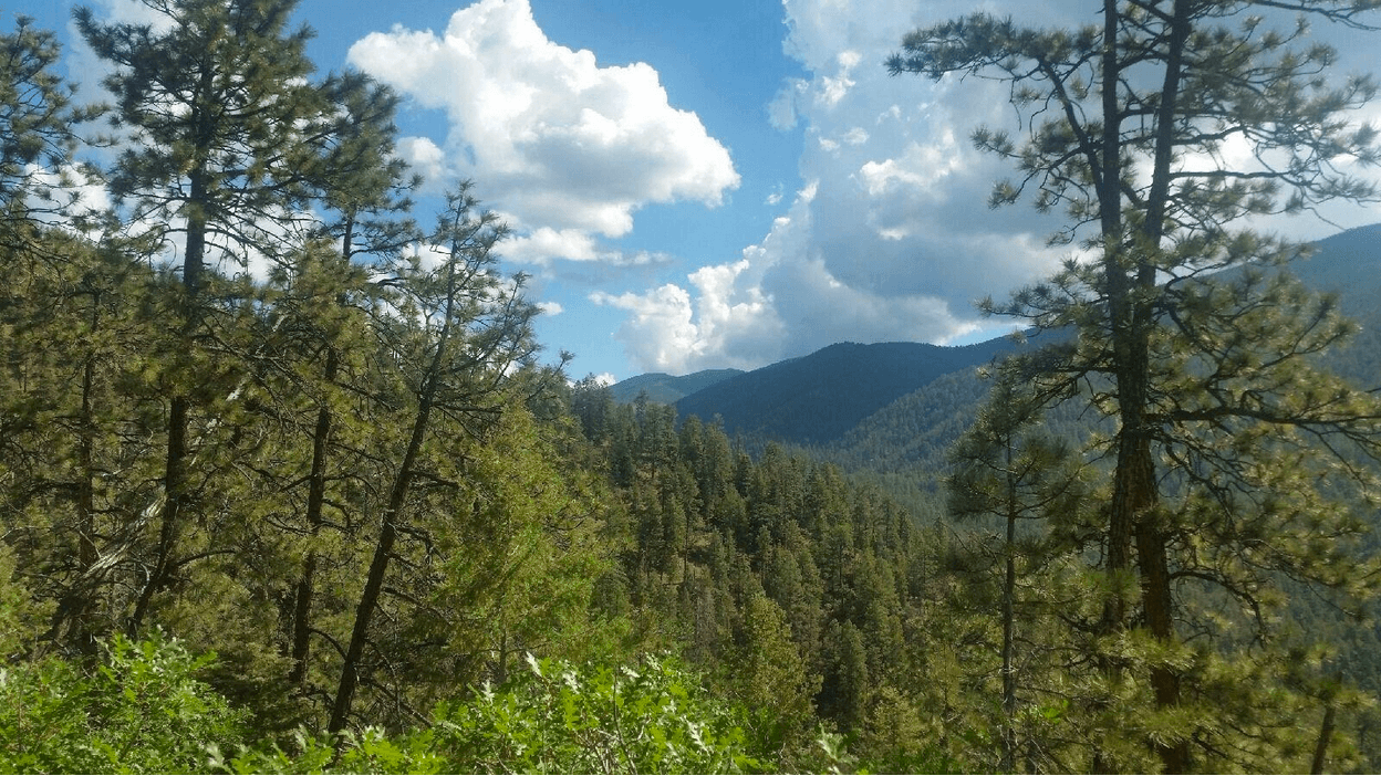 Hyde Park Circle near Santa Fe NM with mountainous views, trees, and blue skies with white puffy clouds