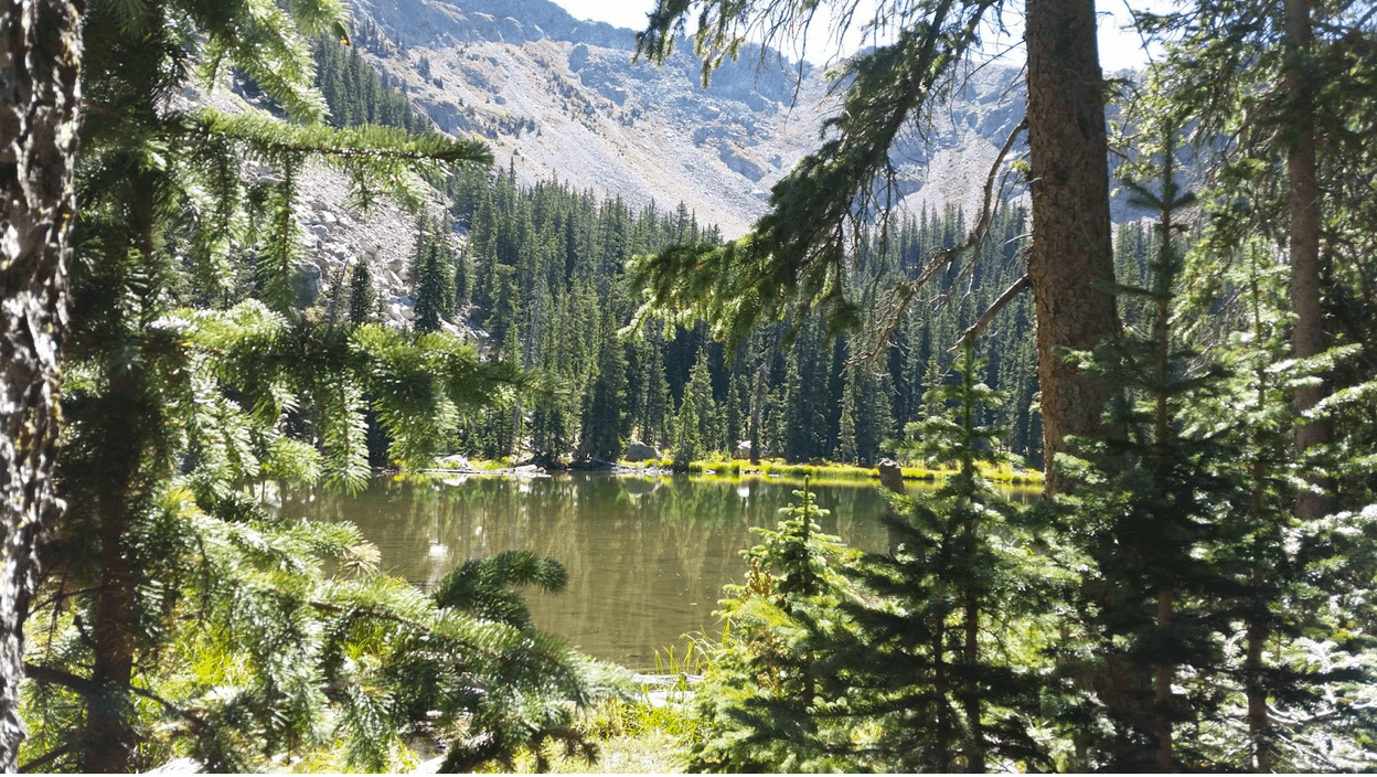 Stunning view of Nambe Lake surrounded by evergreen trees and mountains.