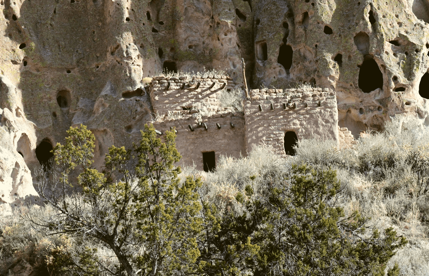 Ancient cave dwellings at Bandelier National Monument.
