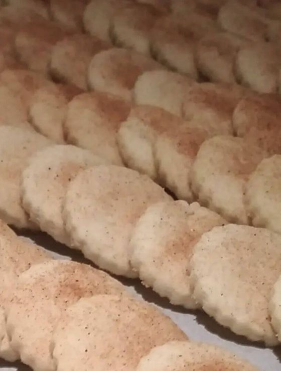 Rows of Bizcochito cookies - round sugar cookies with cinnamon on a tray