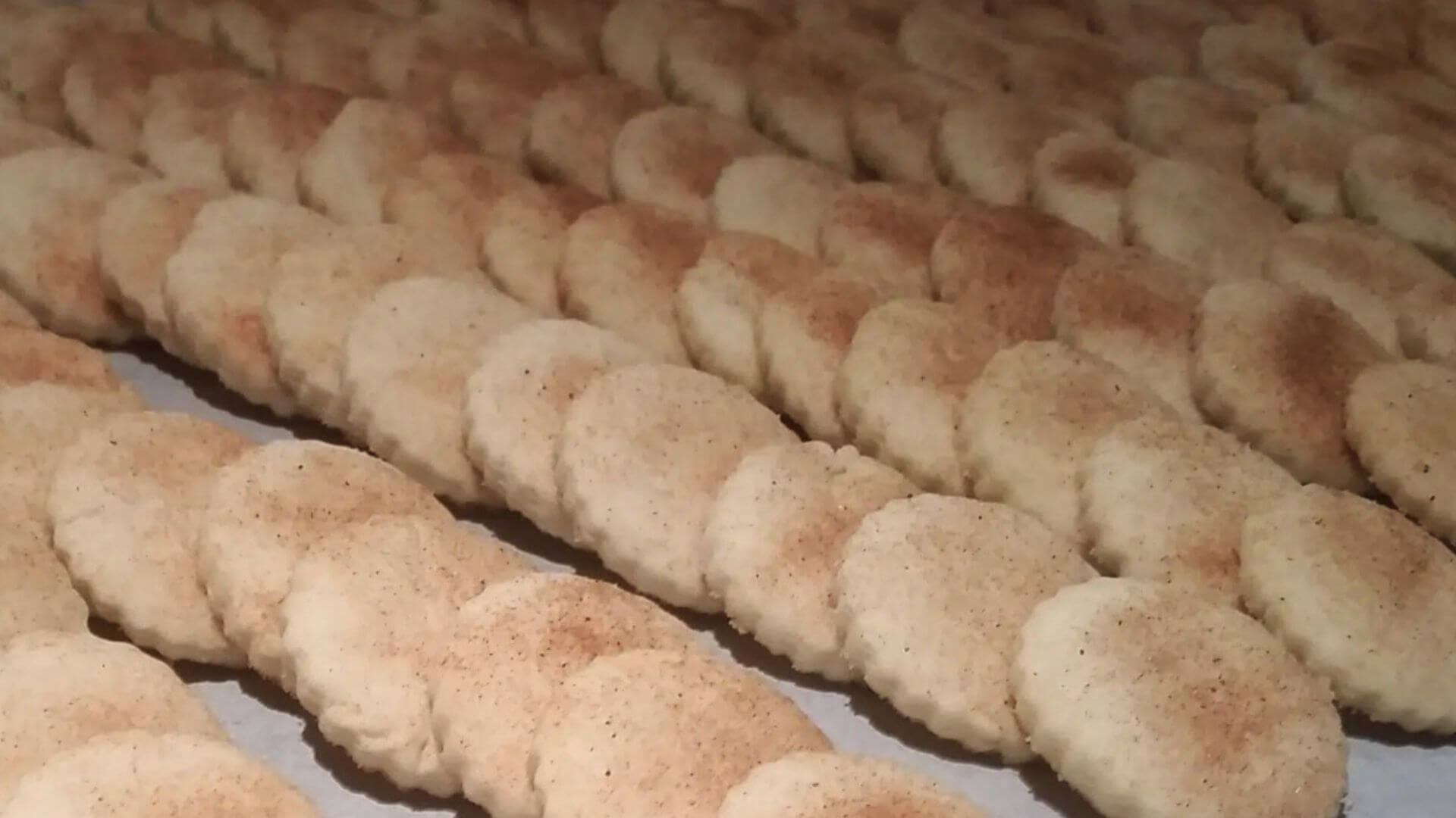 Rows of Bizcochito cookies - round sugar cookies with cinnamon on a tray