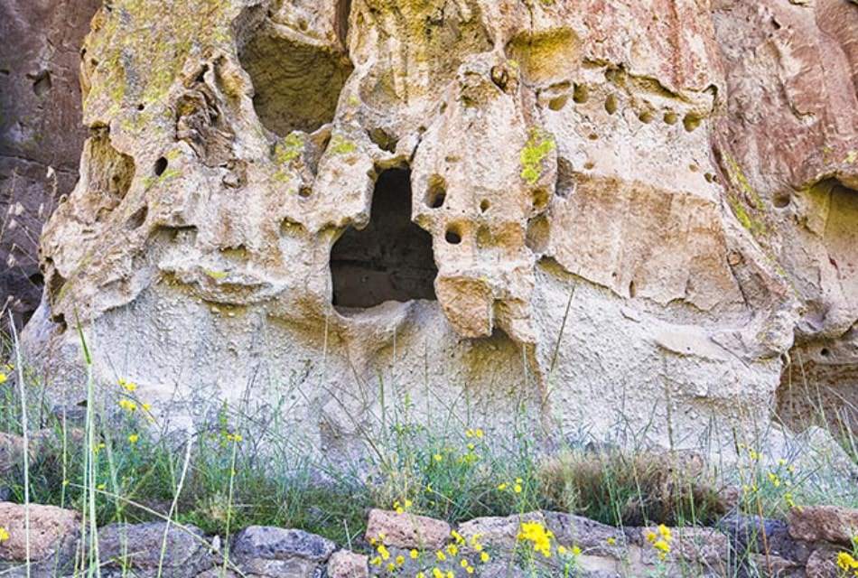 Interesting cave-like geological formation in white stone fronted by yellow flowers.