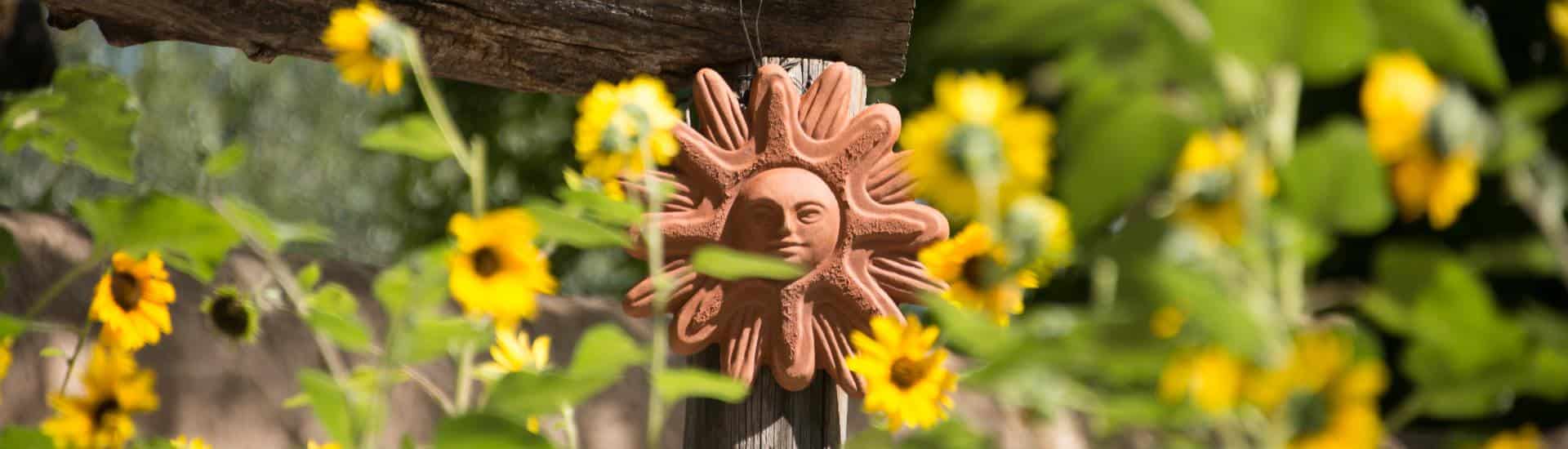 Adobe sunburst icon on a wooden fence among black-eyed Susans