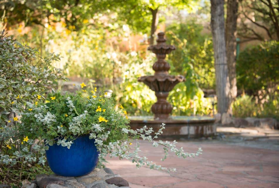 Greenery in a round blue pot in forefront of a water fountain in a garden.