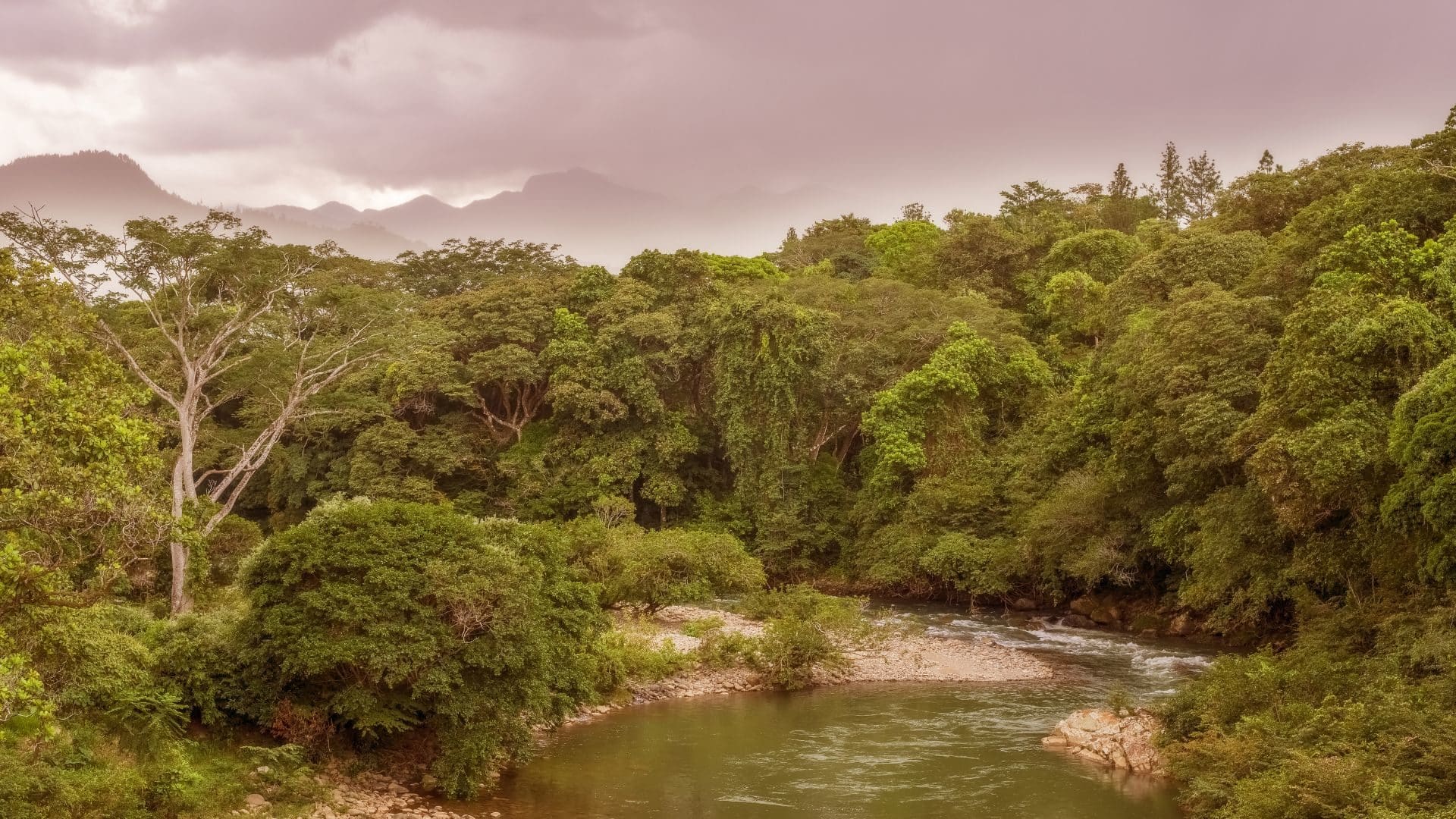 River winding through lush vegetation amidst pink and gray cloudy skies.