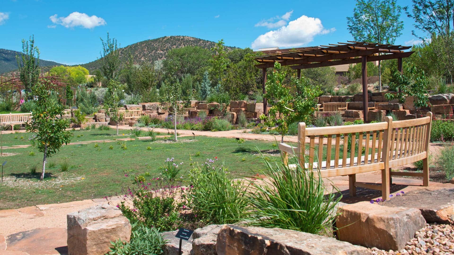 Section of Santa Fe Botanical Garden with green grass, dirt paths, a bench and hills in the distance.