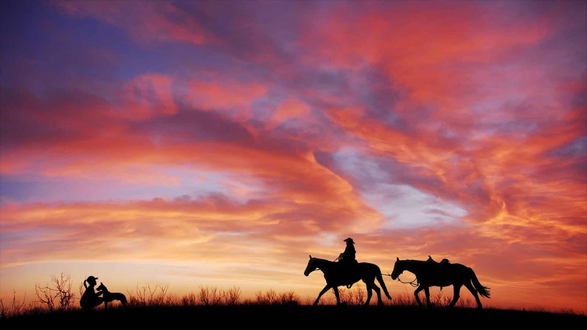 Silhouette of a woman riding horseback against a pink sunset sky