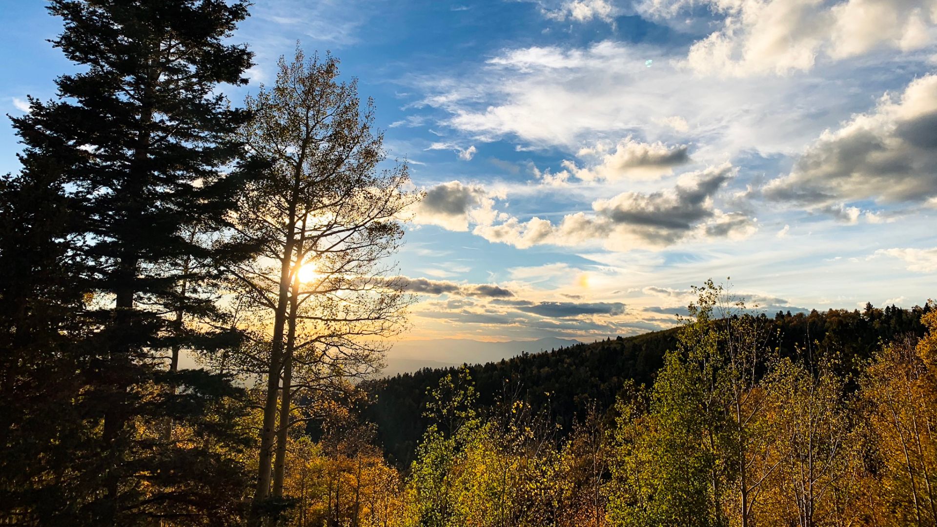 Aerieal view of mountains and trees during the fall