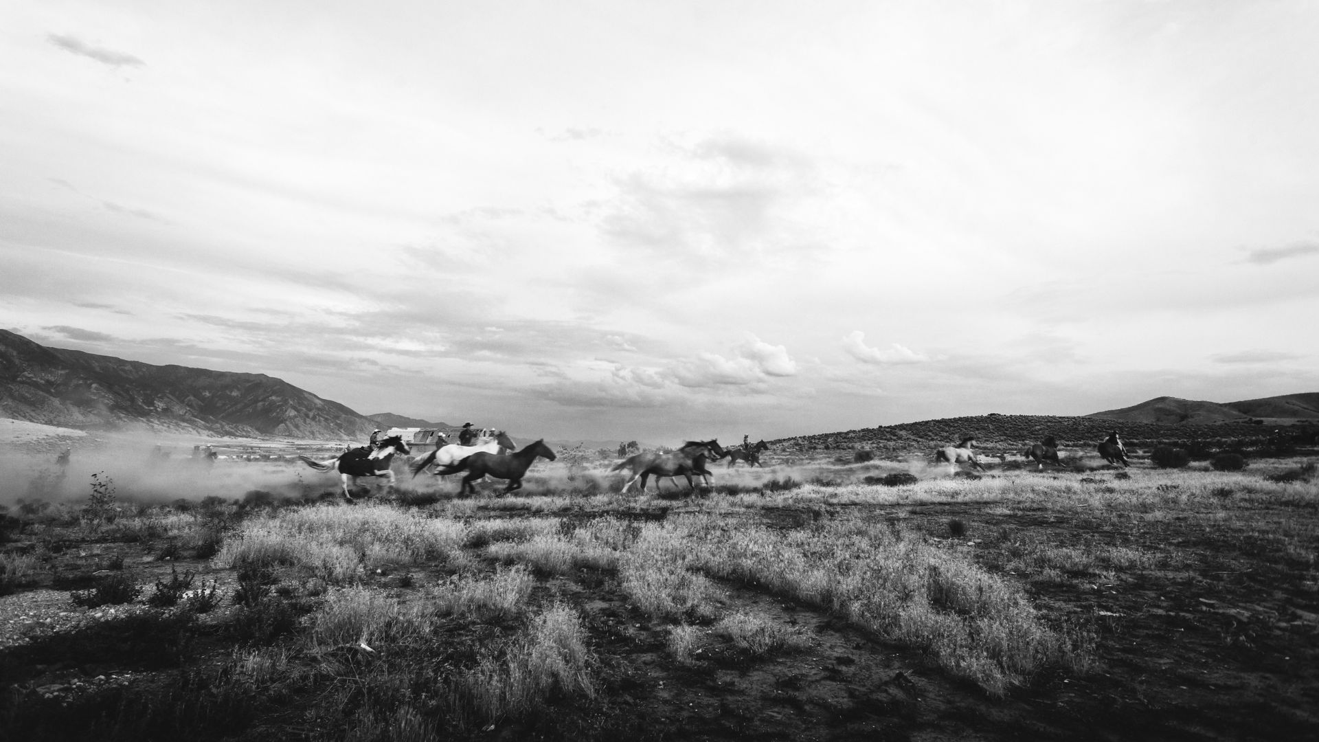 Black and white image of horses running through the New Mexico countryside.