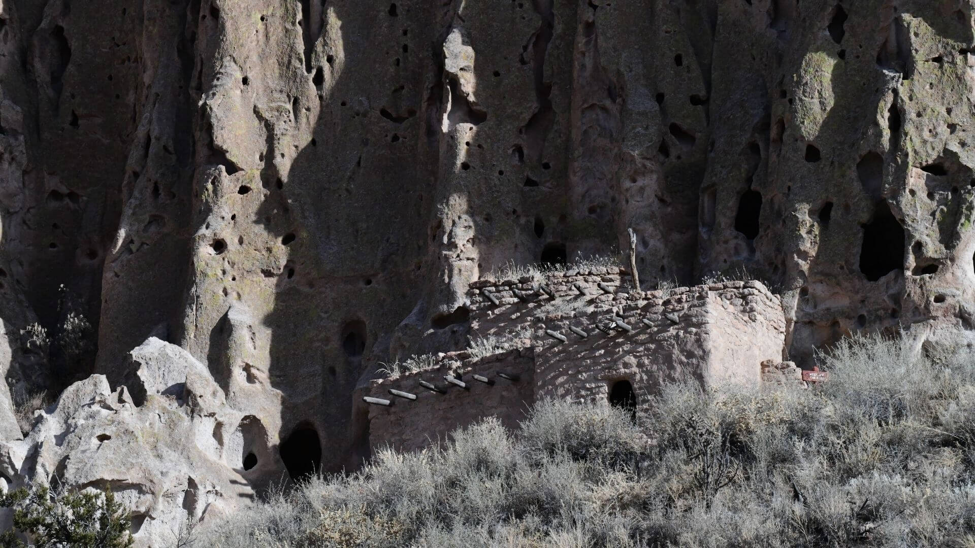 Cliff dwellings built into a rock wall at Bandelier National Monument, surrounded by dry desert brush.