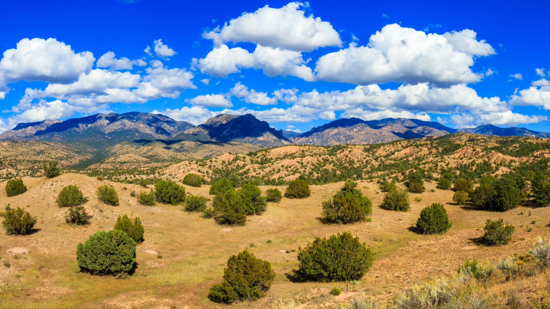 New Mexico foothills and mountains topped with green shrubs