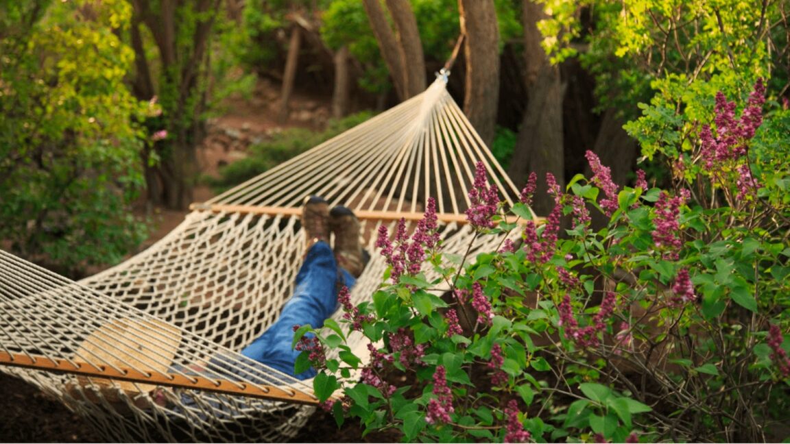 Man relaxing on a hammock next to a bush of luscious lilac bushes