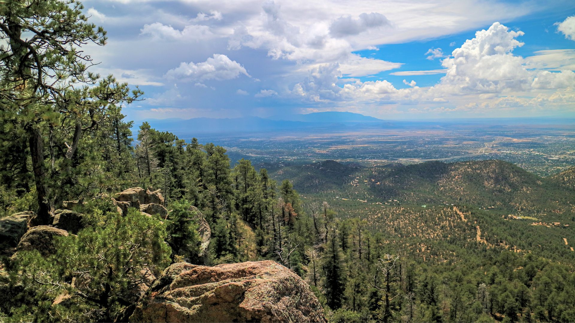 Ponderosa Pines with a distant view of the valley and further mountains from the top of Atalaya