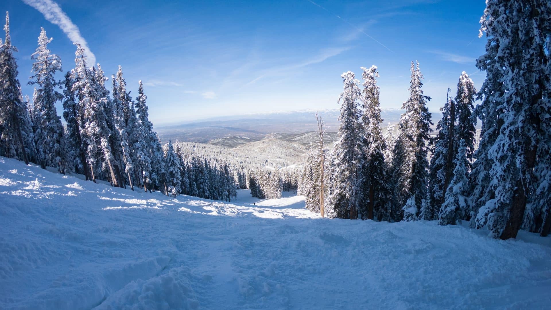 Snowy slope flanked by evergreens at Ski Santa Fe.