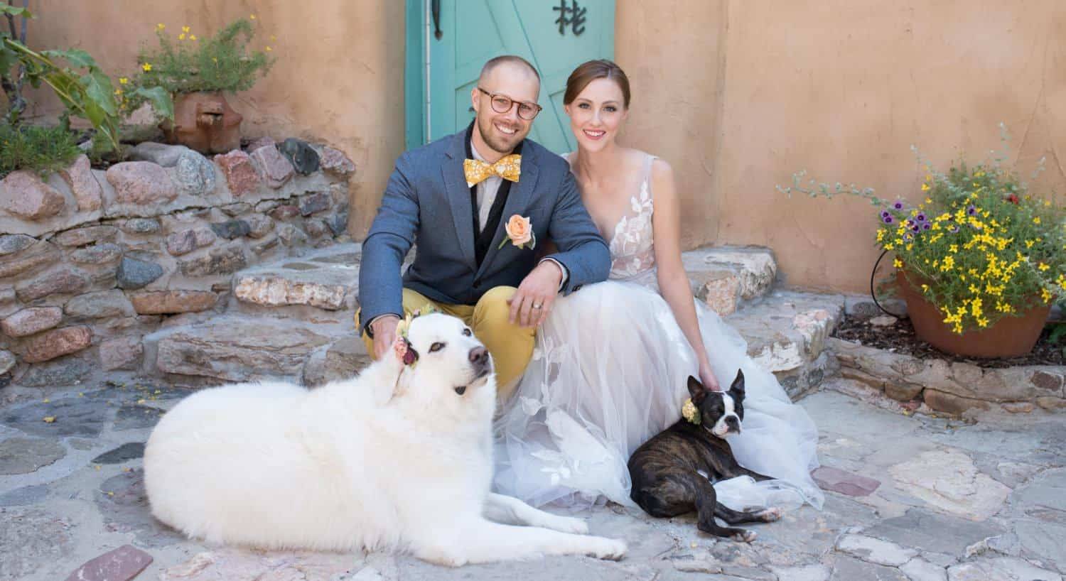 Bride and groom sitting on stone steps petting large white dog and small black and white dog